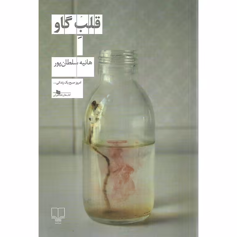 قلب گاو