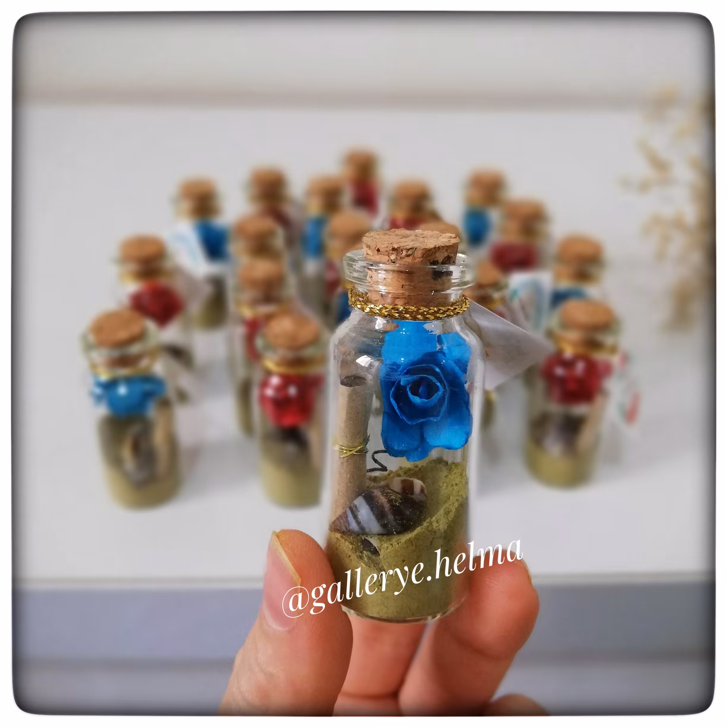 پک گیفت حنا ونامه