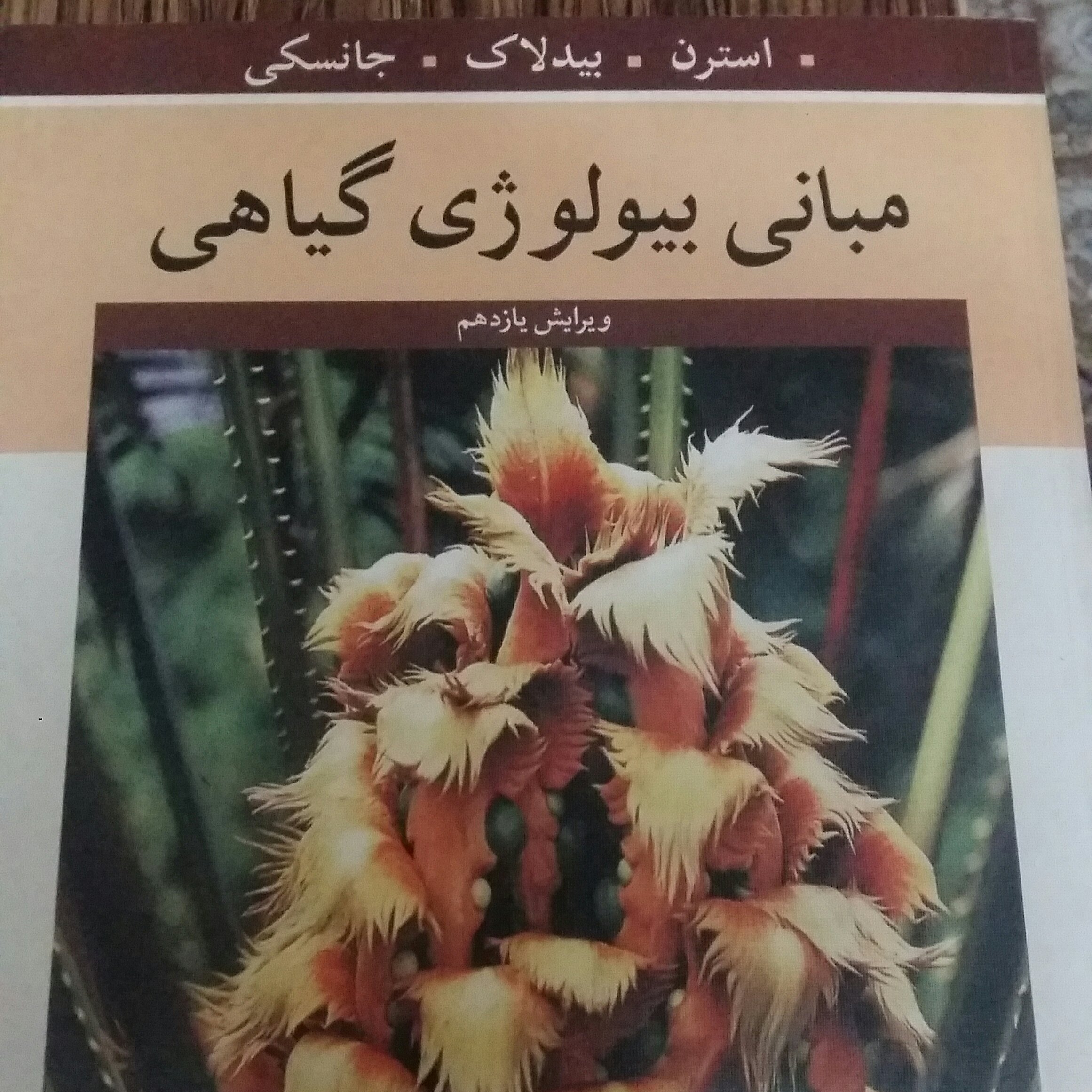 کتاب مبانی بیولوژی گیاهی، کینگزلی استرن