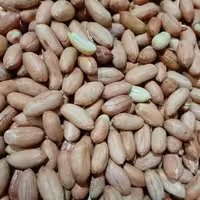 بادام زمینی آستانه. تفت داده بدون نمک ( 500گرم)