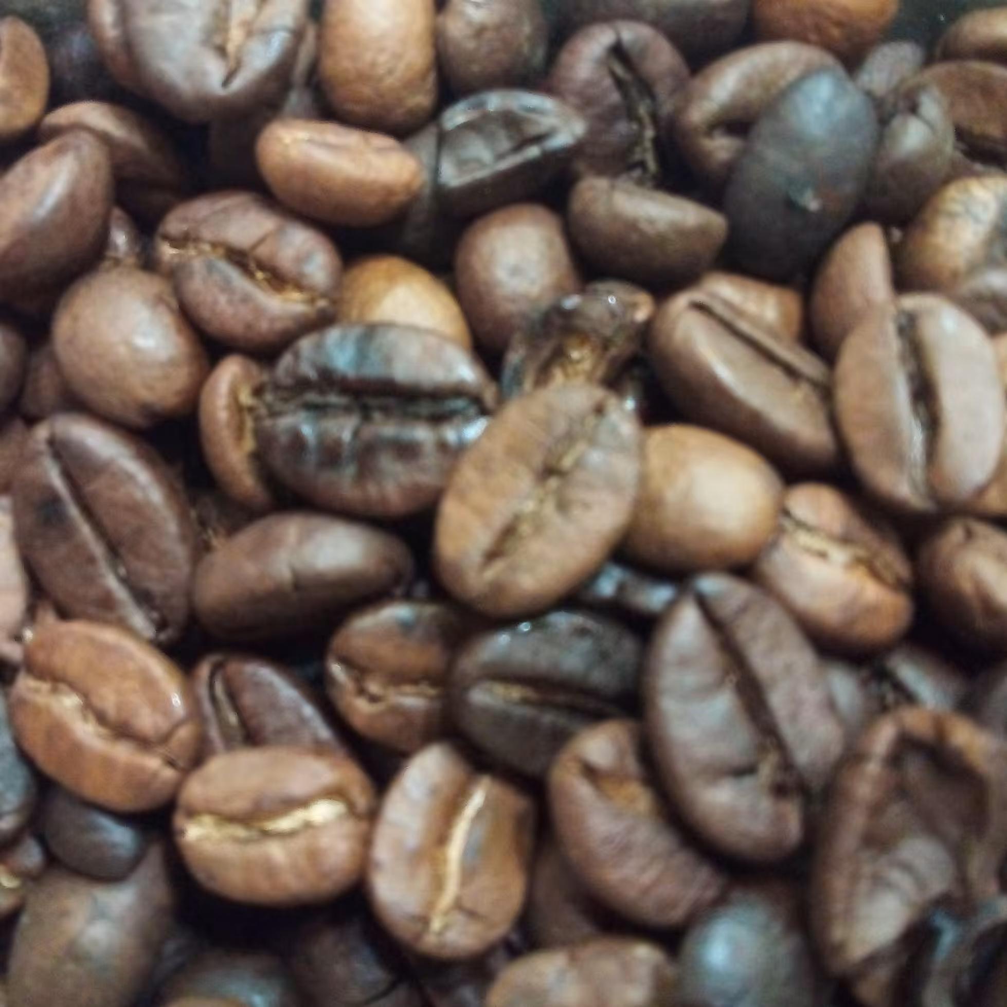 دانه قهوه عربیکا برزیل(یک کیلویی) که بصورت مدیوم رُست شده است دارای عطروبویی بسیار زیاد است