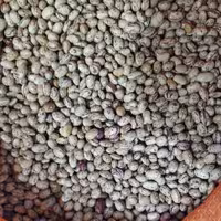 لوبیا چیتی اعلا