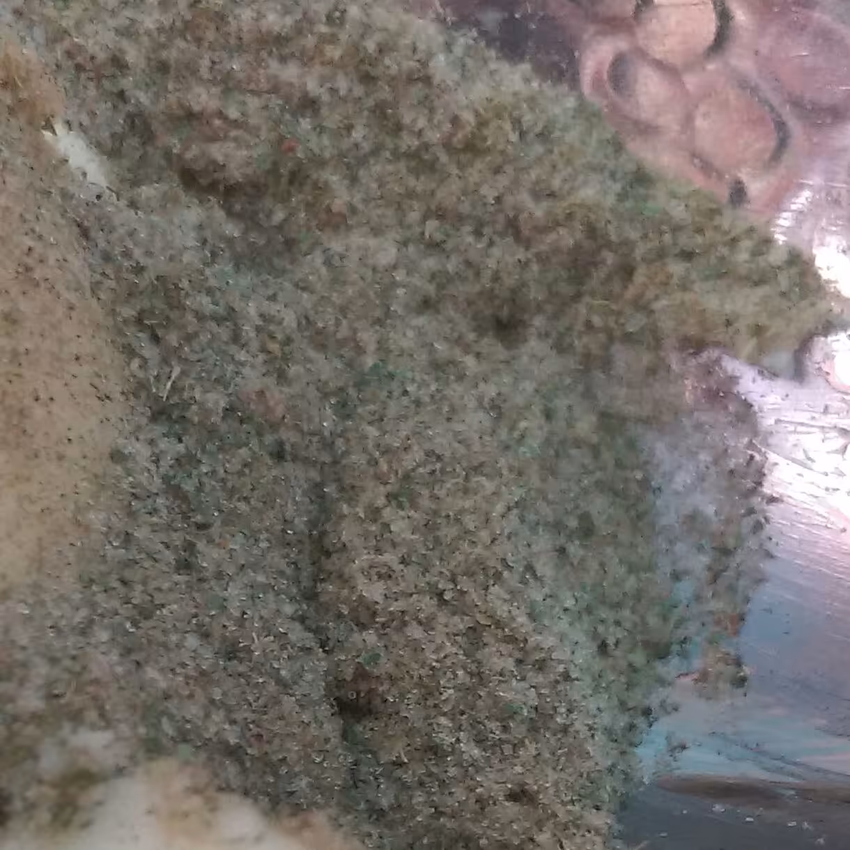 گزو ارگانیک(300گرم)پودر گزو کردستان