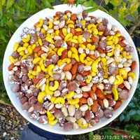 آجیل چهار مغز   لوکس  500 گرمی خشکبار پسرشمالی