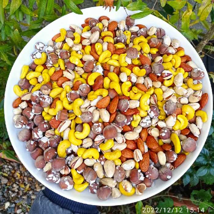 آجیل چهار مغز   لوکس  500 گرمی خشکبار پسرشمالی