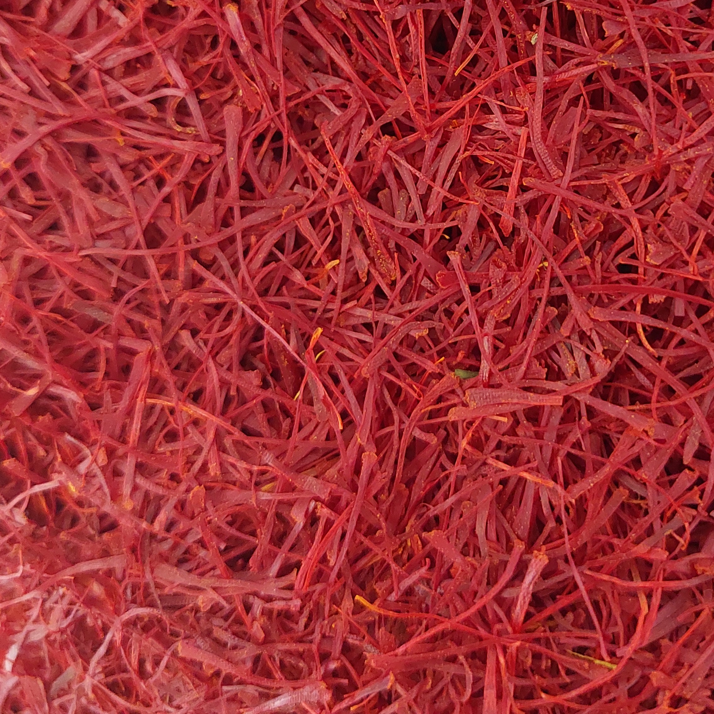 زعفران سرگل قاینات اعلا  10 گرمی مشرق زمین استاندارد