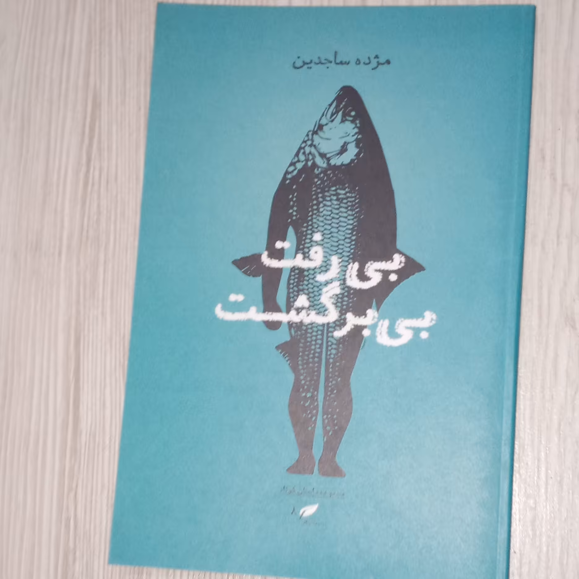 بی رفت بی برگشت 