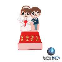 فلش مموری فانتزی دایا دیتا عروس و داماد مدلPF1008-11 ظرفیت64GB-USB3 رنگ صورتی