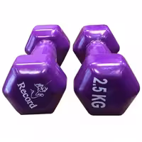 دمبل ایروبیک 2.5 کیلویی رکورد