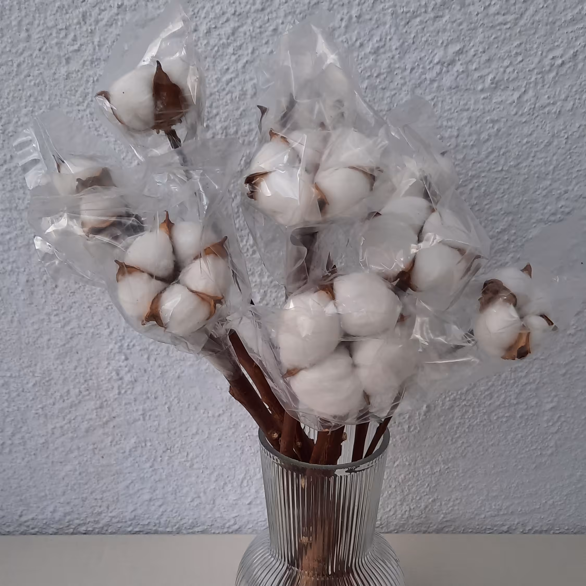 پک دو شاخه گل پنبه ی خشک 10 گل  و 4 عدد پنبه تک شاخه ( مجموعا 24 گل )