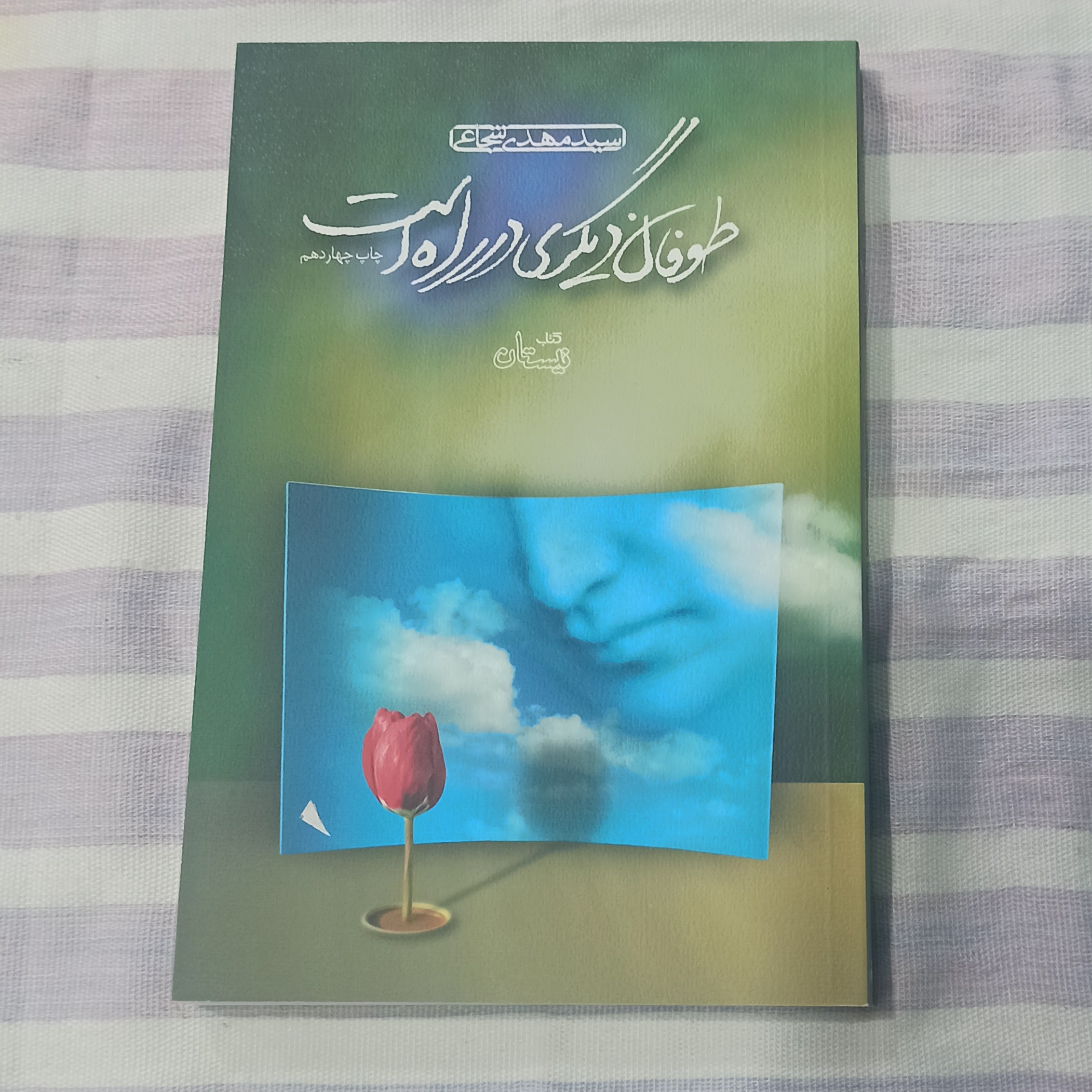 کتاب طوفان دیگری در راه است تالیف سید مهدی شجاعی