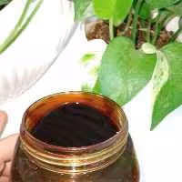 رب انار اصل شهرضا