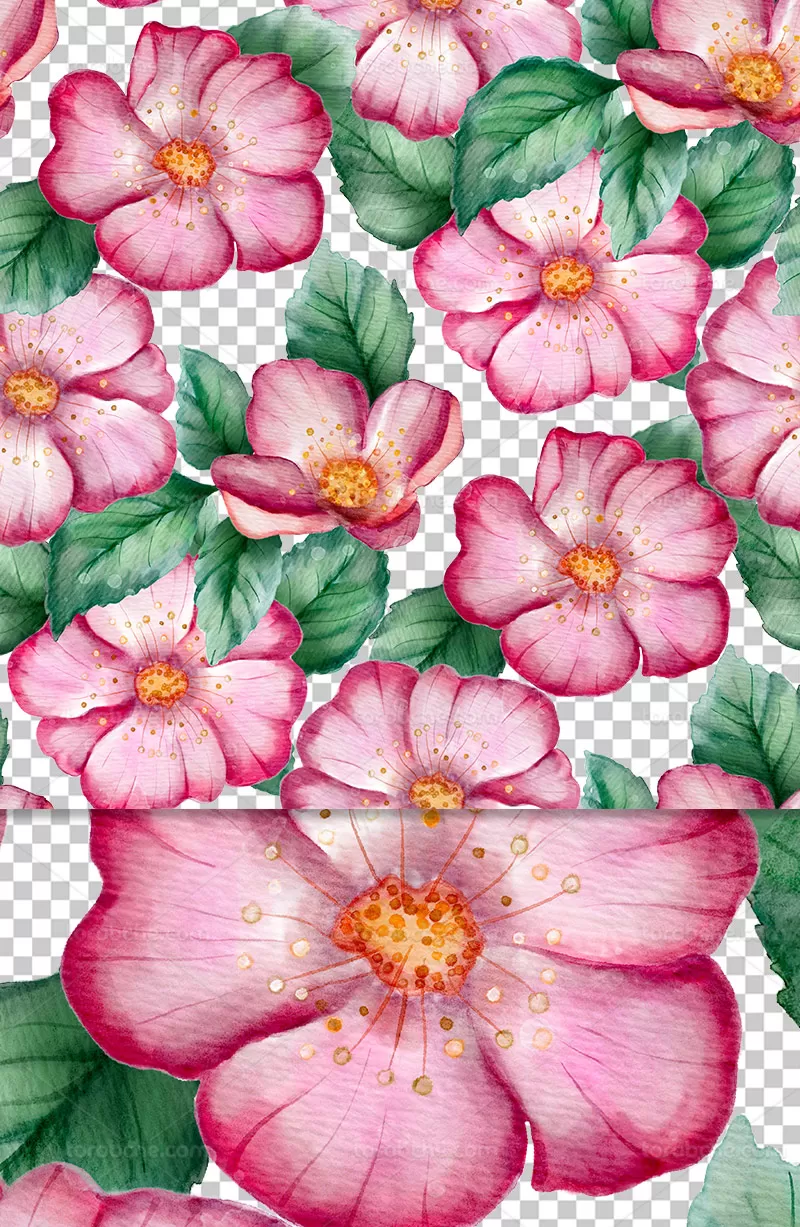 عکس دوربری شده گل و برگ صورتی | گرافیک با طعم تربچه