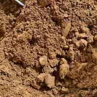 قهوه هسته خرما