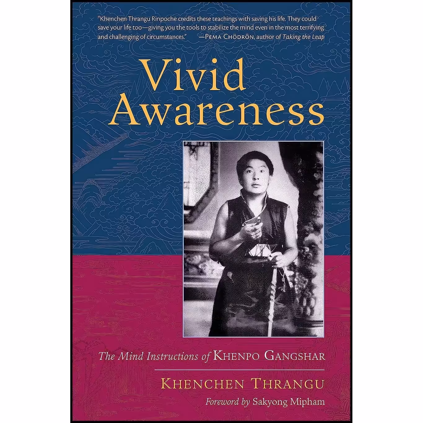 کتاب زبان اصلی Vivid Awareness اثر Khenchen Thrangu and Sakyong Mipham