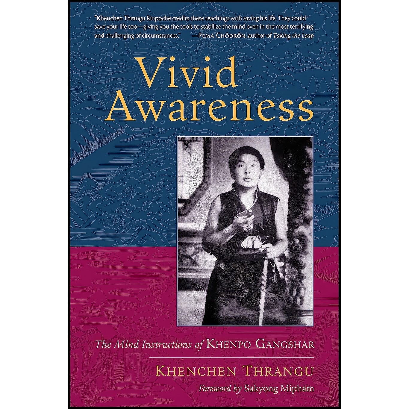 کتاب زبان اصلی Vivid Awareness اثر Khenchen Thrangu and Sakyong Mipham
