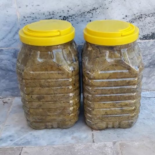 برگ مو شوری لطیف آسناگُلی بسته 3کیلویی امساله