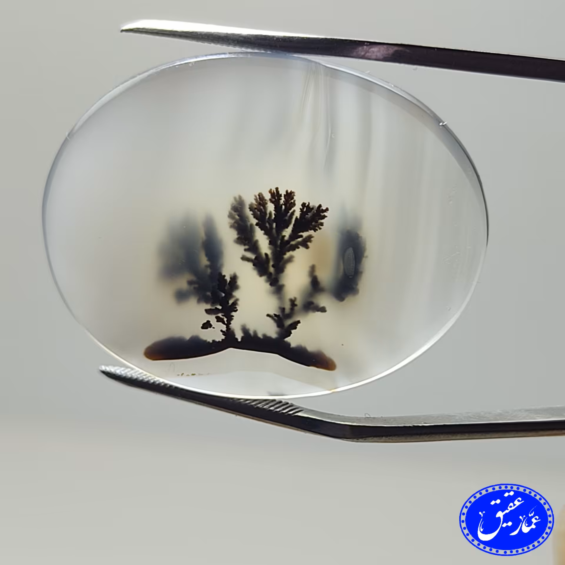 نگین عقیق شجر قواره دار 3درخت تنها در زمینه شیشه‌ای