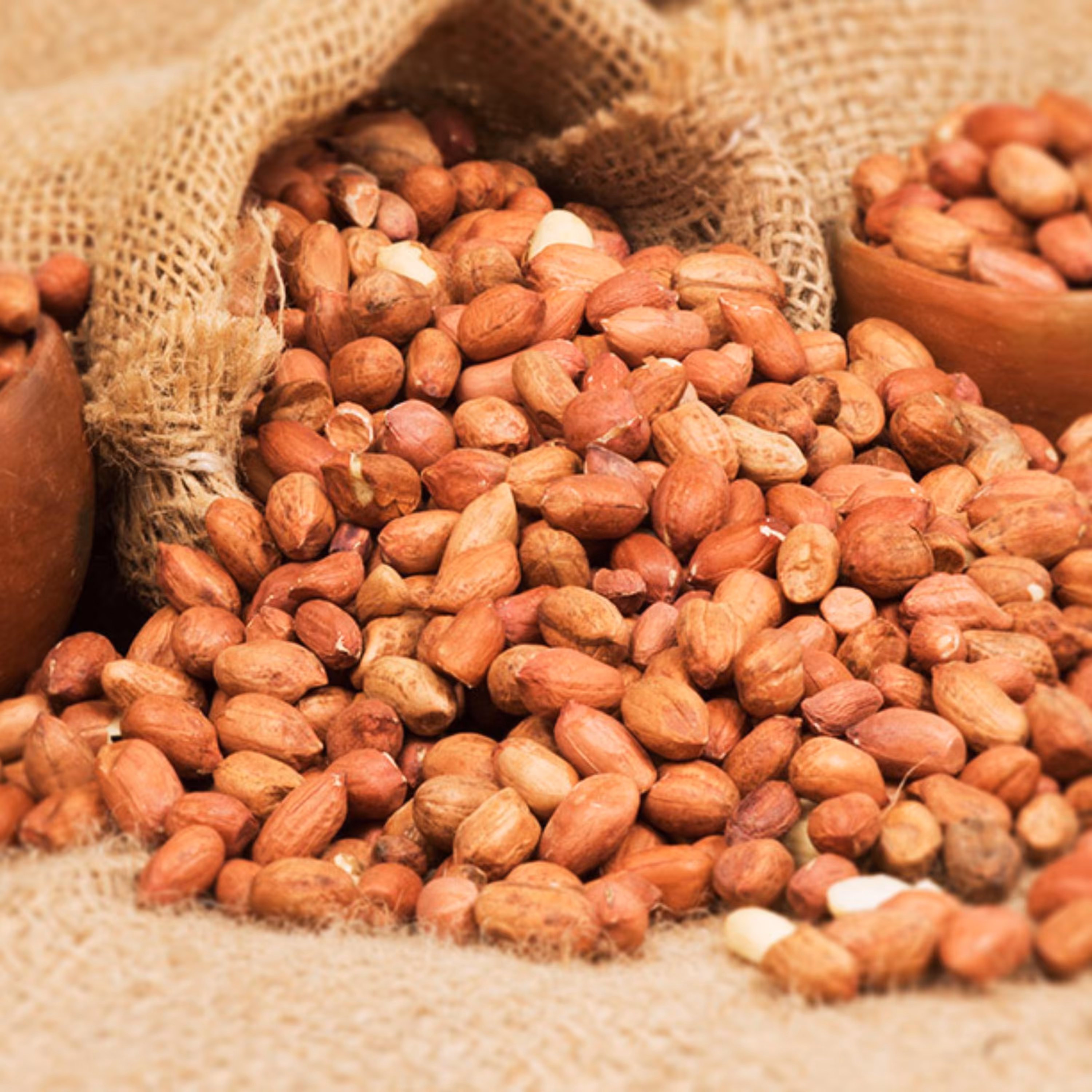 بادام زمینی بدون پوست غلاف دار درجه یک آستانه اشرفیه 