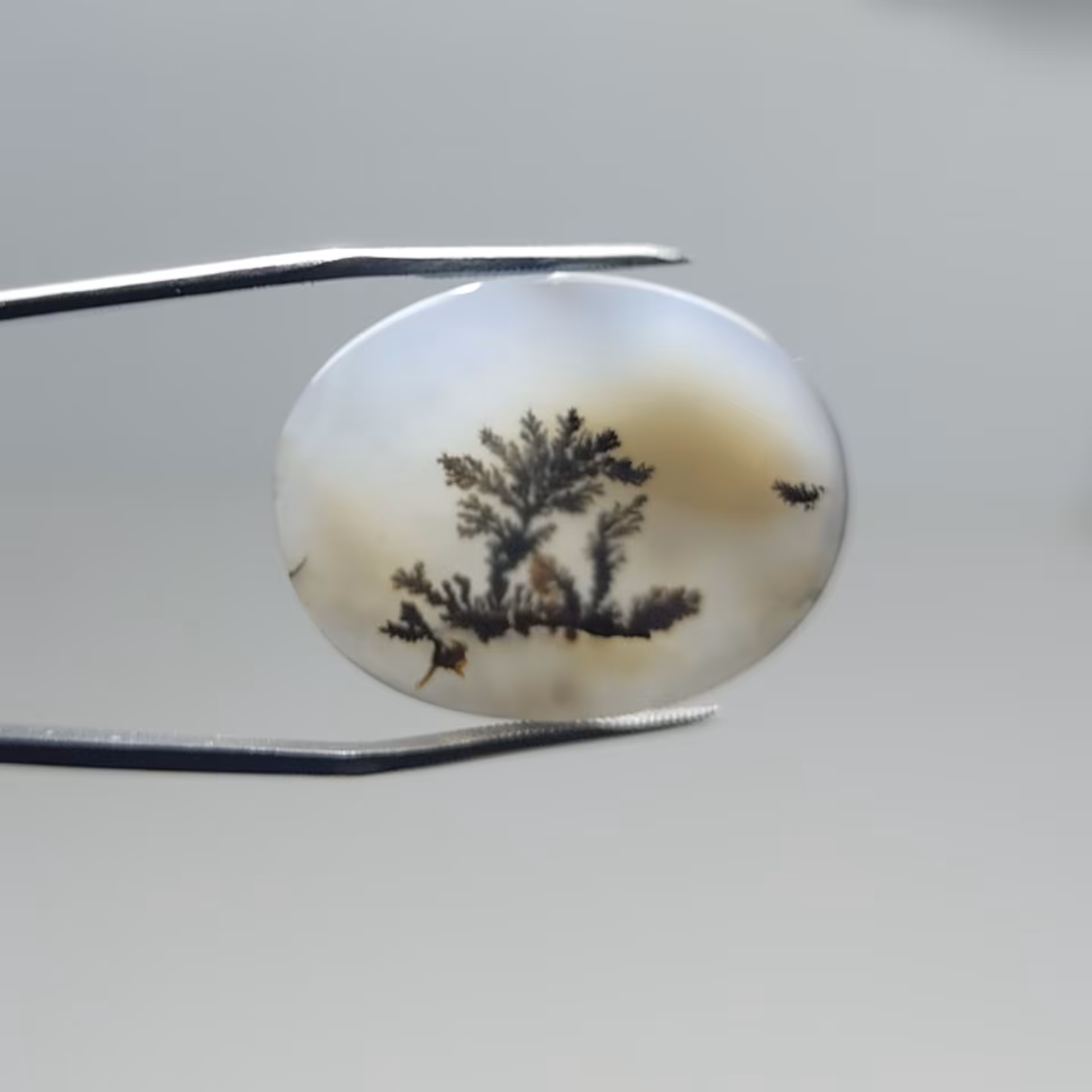 نگین عقیق شجر منظره زمینه تخت قائن