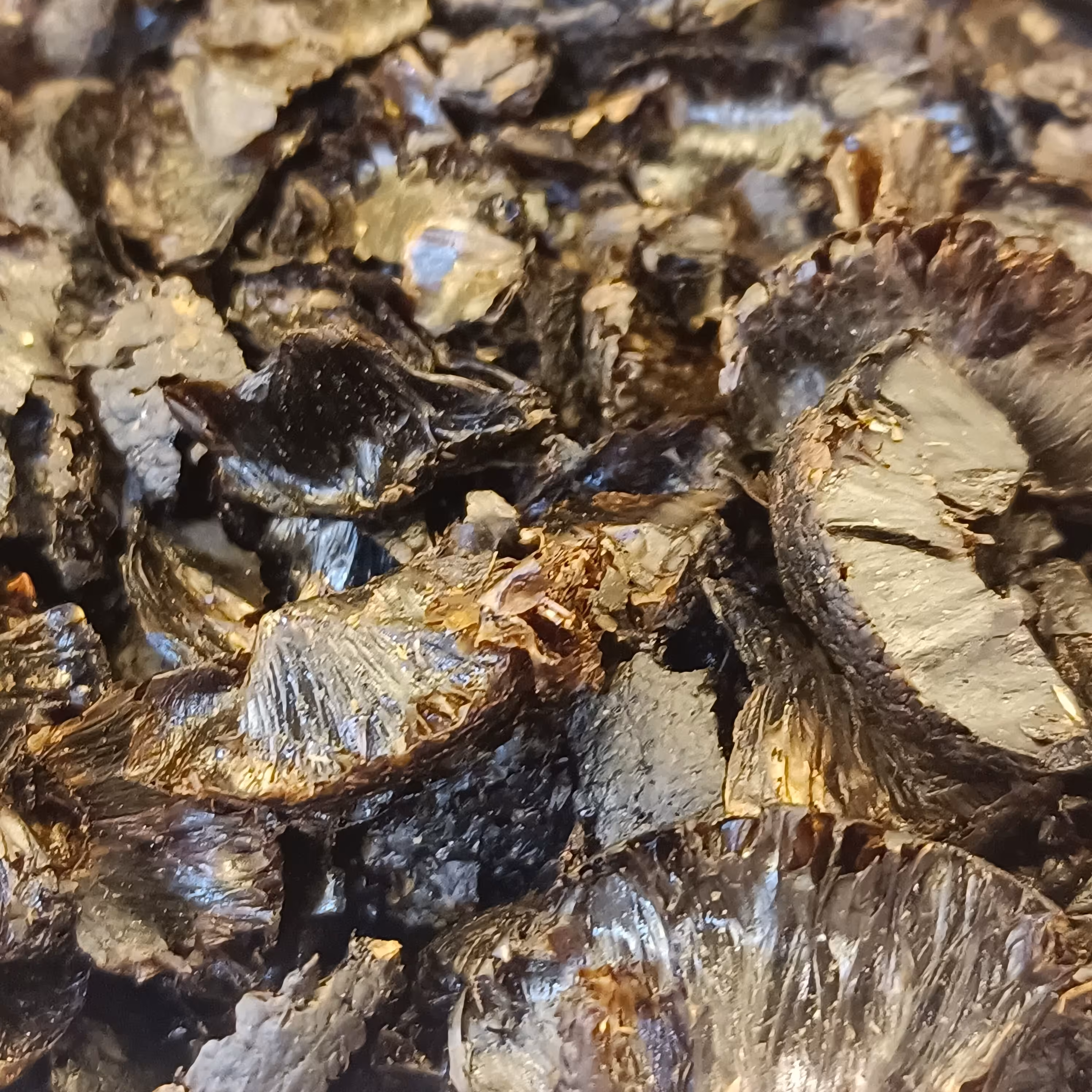 پر لیمو امانی 50 گرمی