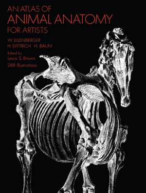 [EPUB] دانلود کتاب An Atlas Of Animal Anatomy For Artists, 2nd ed, 2016;1949