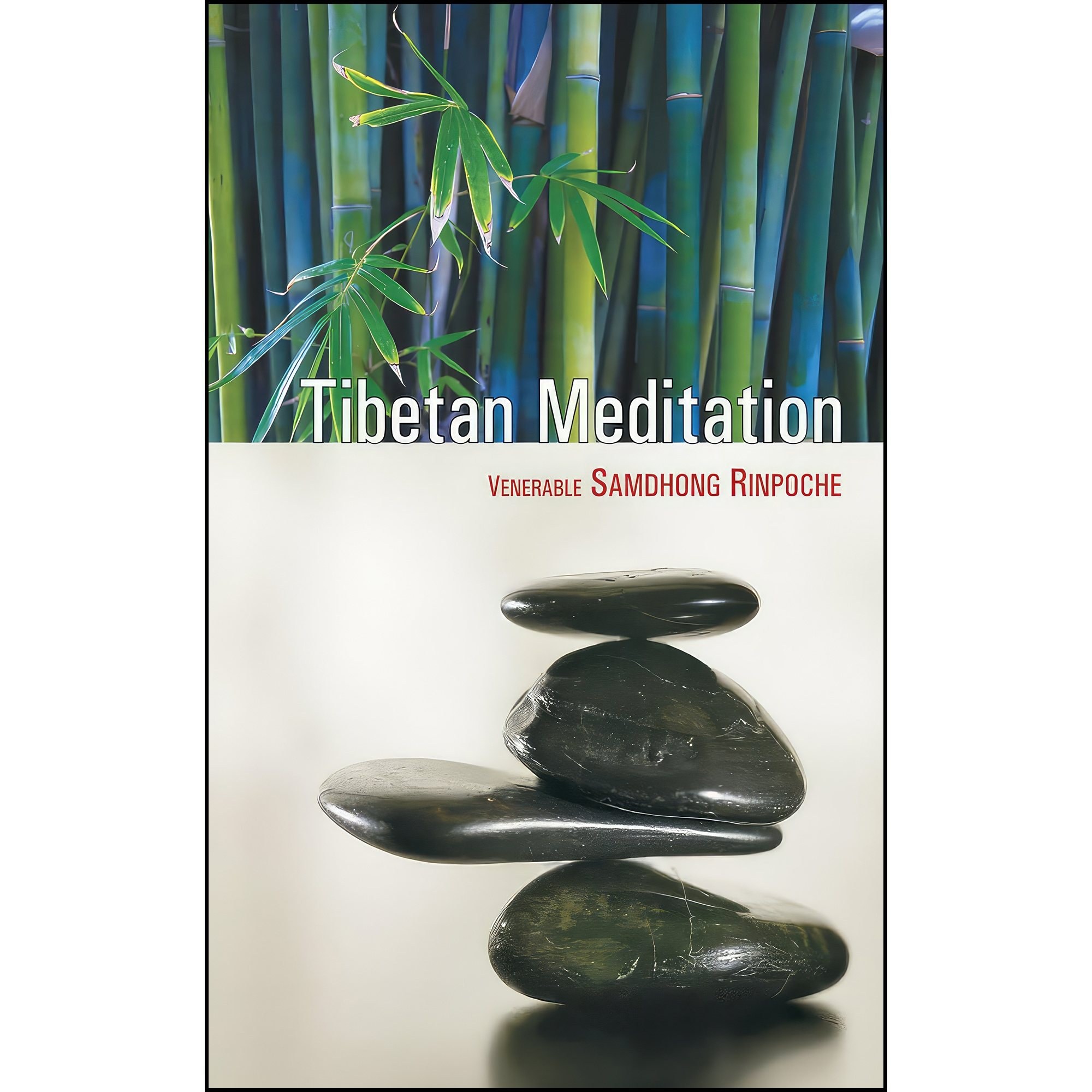 کتاب زبان اصلی Tibetan Meditation اثر Samdhong Rinpoche