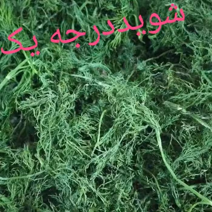 شوید خشک خانگی اعلا