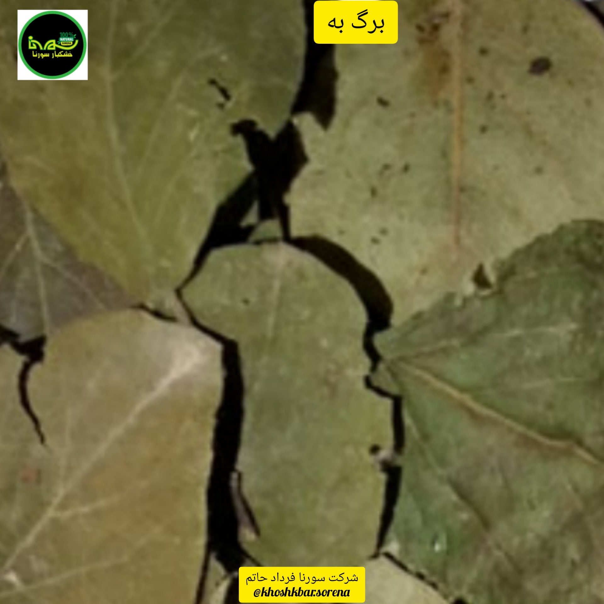 برگ به سبز محلی درجه یک(مازندران،قائمشهر) در بسته بندی 750 گرمی