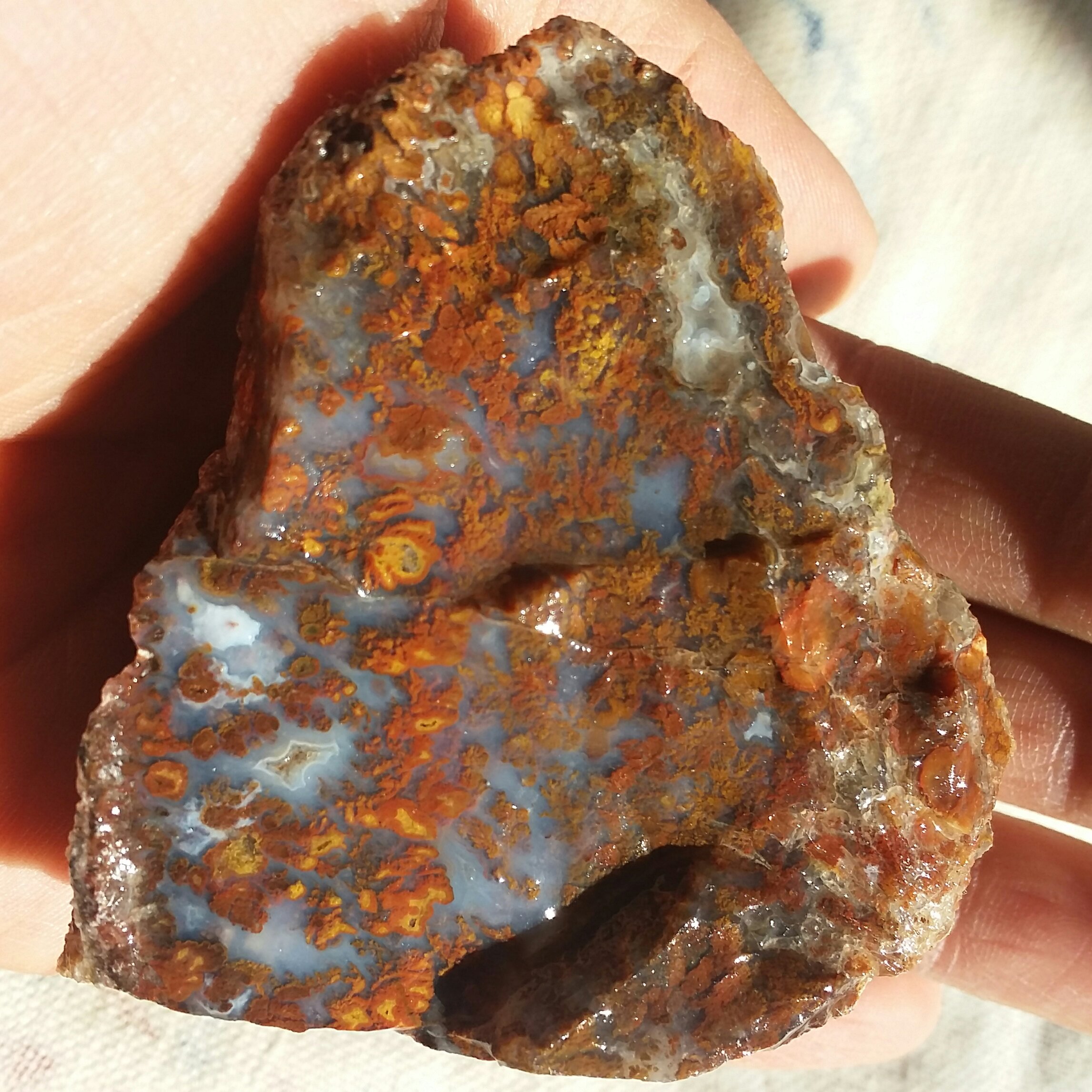 سنگ راف شجر منظره 7رنگ دیددددنی کاملا طبیعی شاهکار خلقت بی نظییییییییر