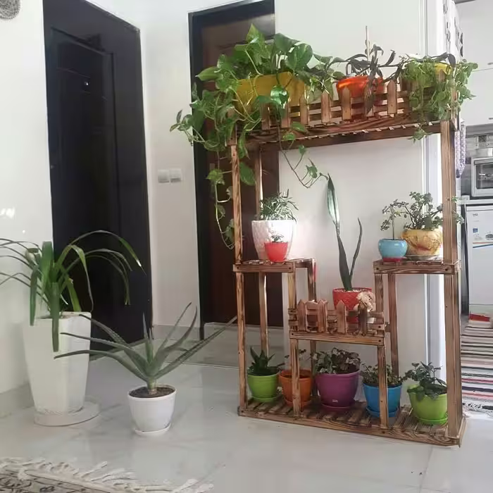 استندگل ، شلف ، پایه گل