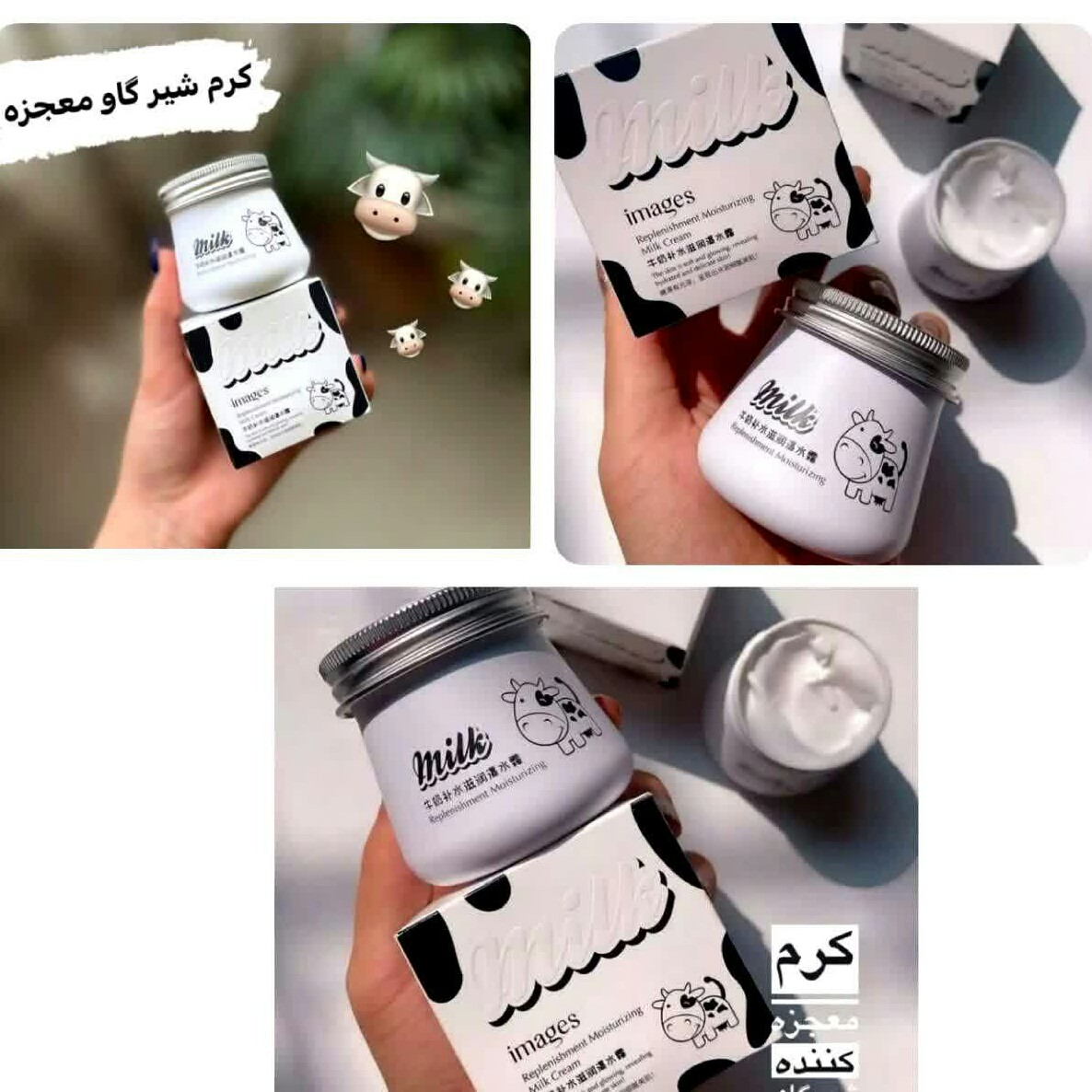 کرم شیر گاو