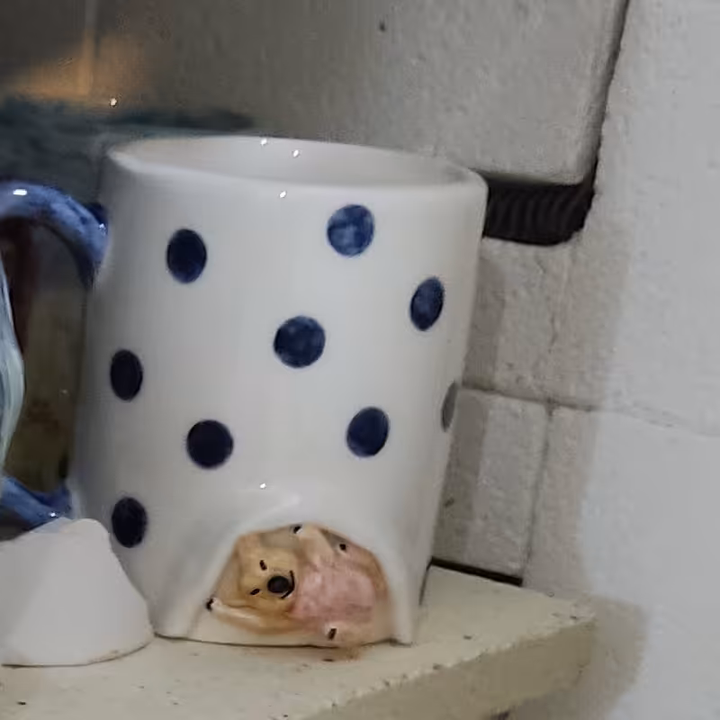 ماگ سرامیکی دست ساز برجسته طرح کووالا