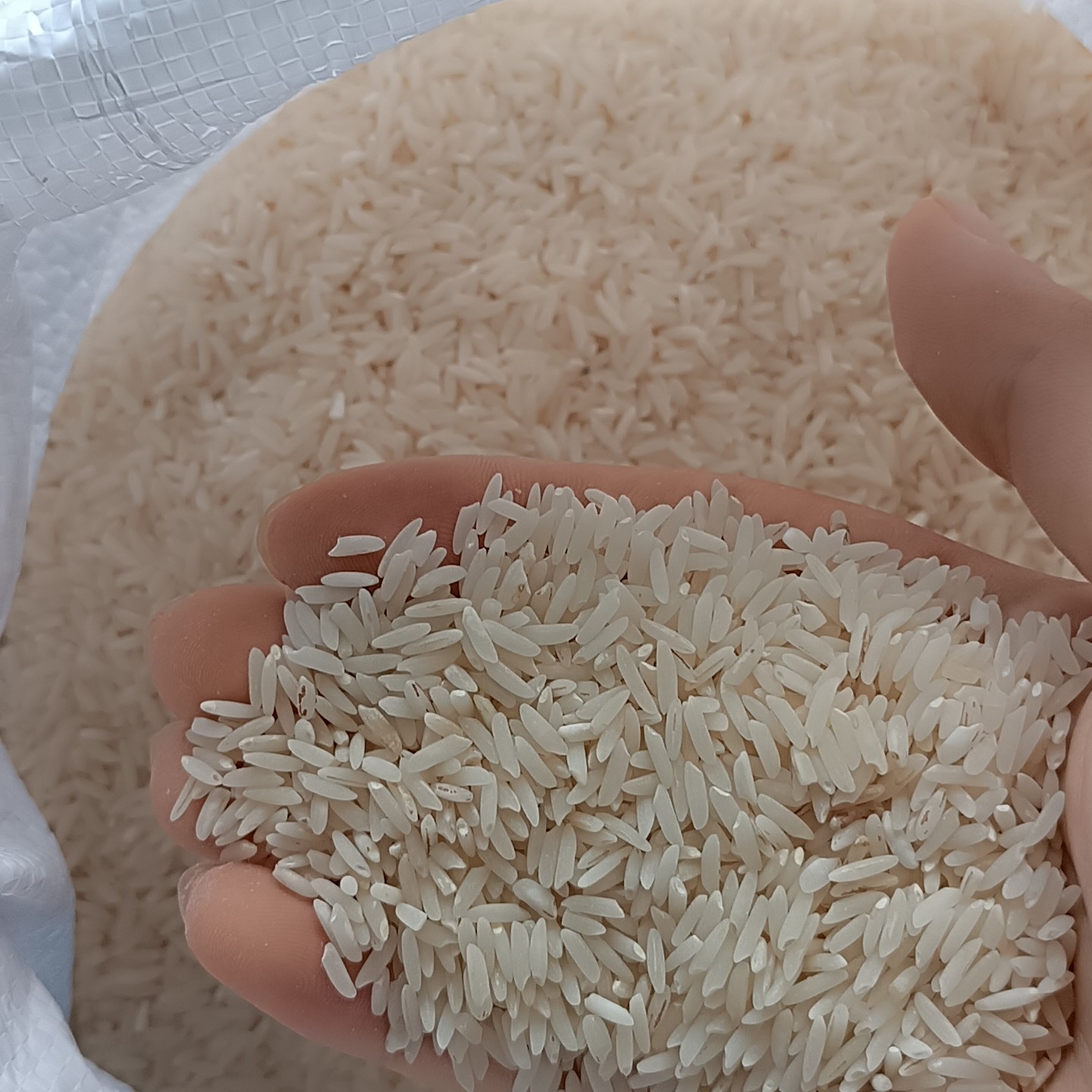 برنج طارم اعلابدون واسطه پنج کیلویی