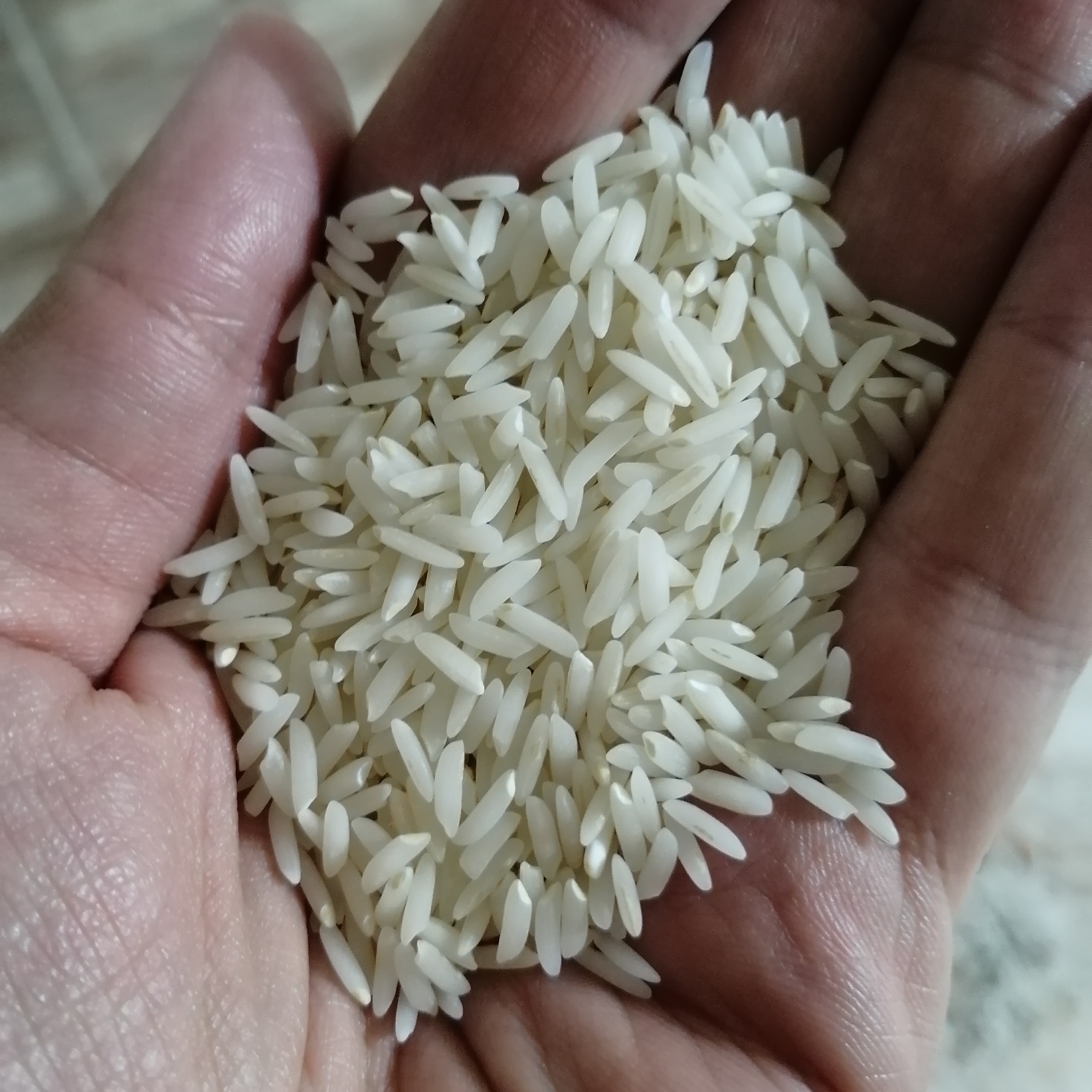 برنج درجه یک هاشمی 1402 (10 کیلویی)