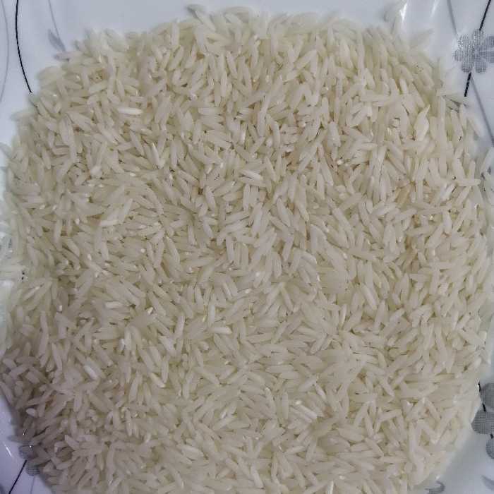 برنج شیرودی 