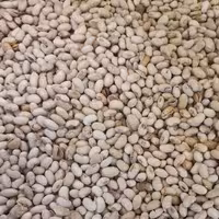 سویا اجیلی(1000)