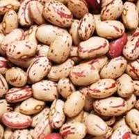 لوبیا چیتی450گرمی ،ارسال رایگان سه خرید یک محصول هدیه