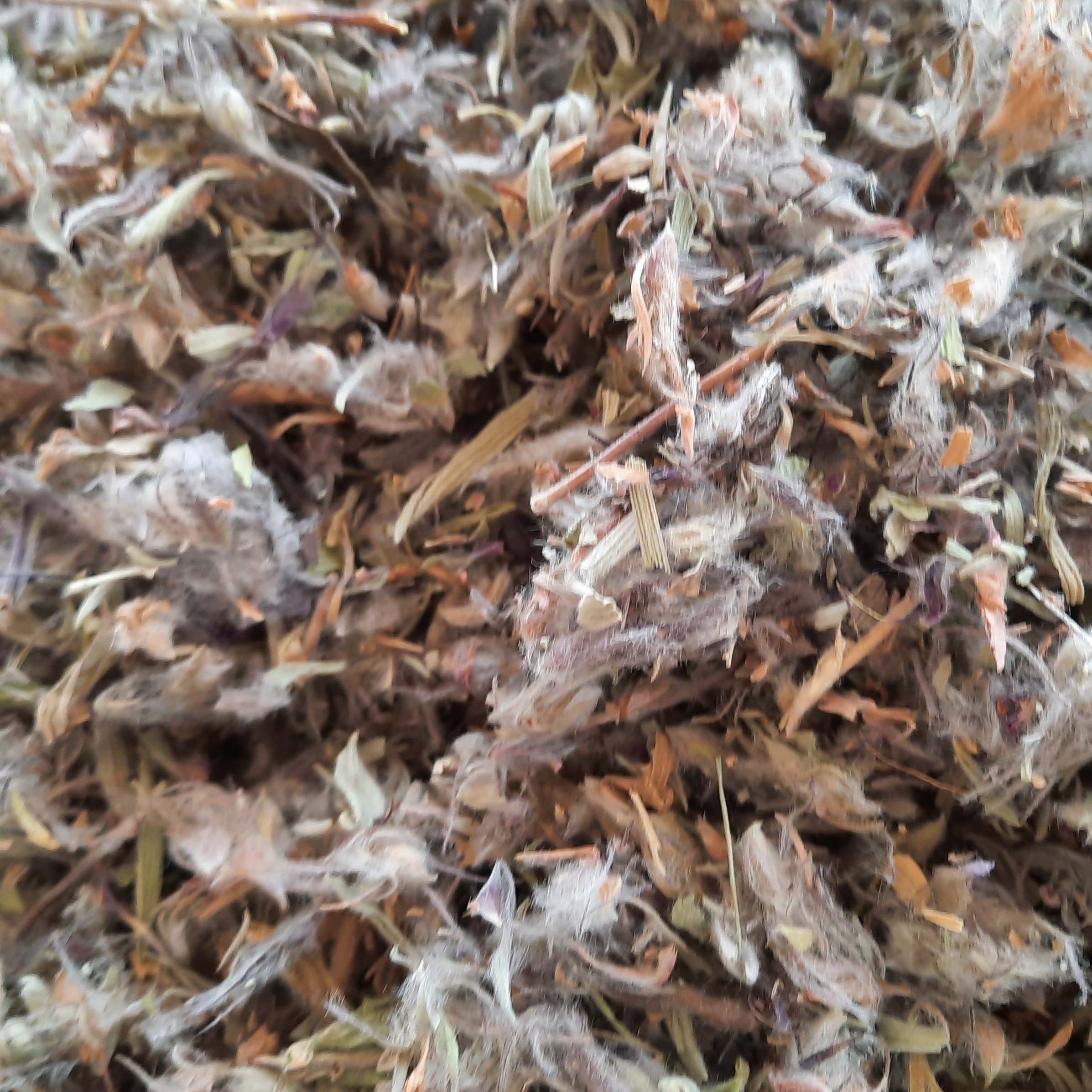 چای کوهی خوش عطر (100گرمی)