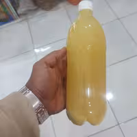 ابلیموی خانگی