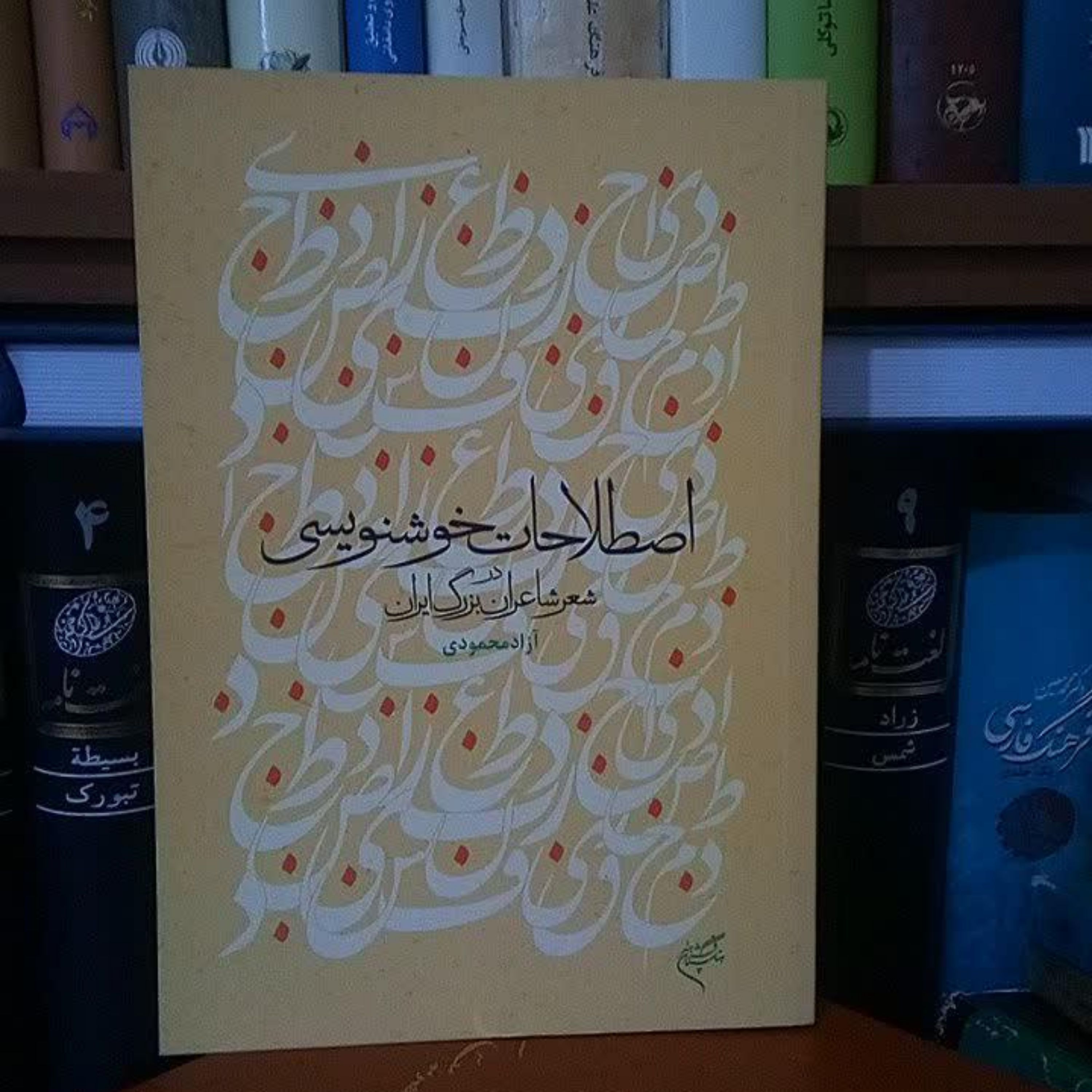 کتاب اصطلاحات خوشنویسی در شعر شاعران بزرگ ایران