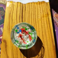  ظرف ماهی رزینی شیشه ای  نقاشی دست 