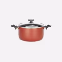 قابلمه گرانیتا قطر 20 سانت زرساب GT-420