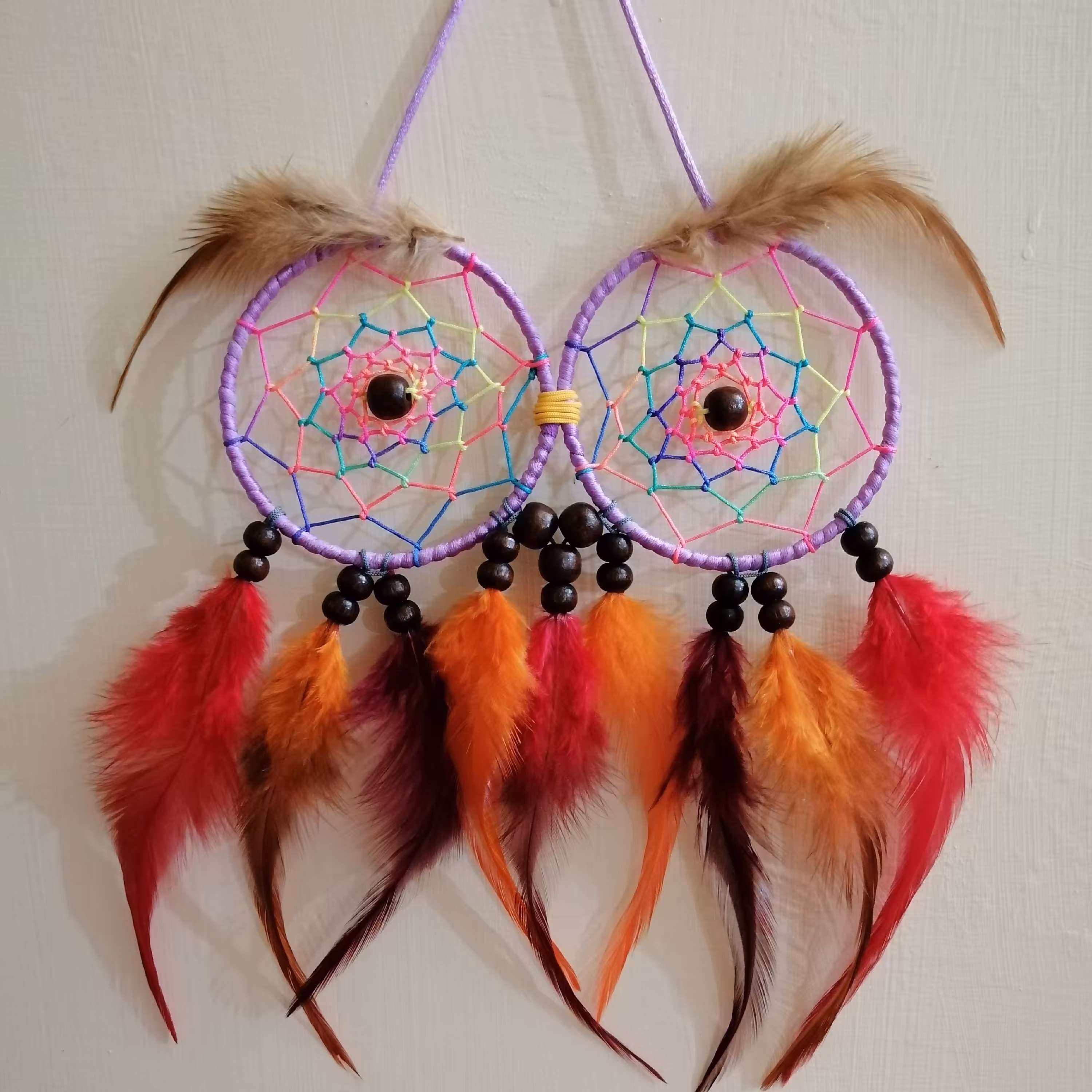 دریم کچر زیبای جغد 