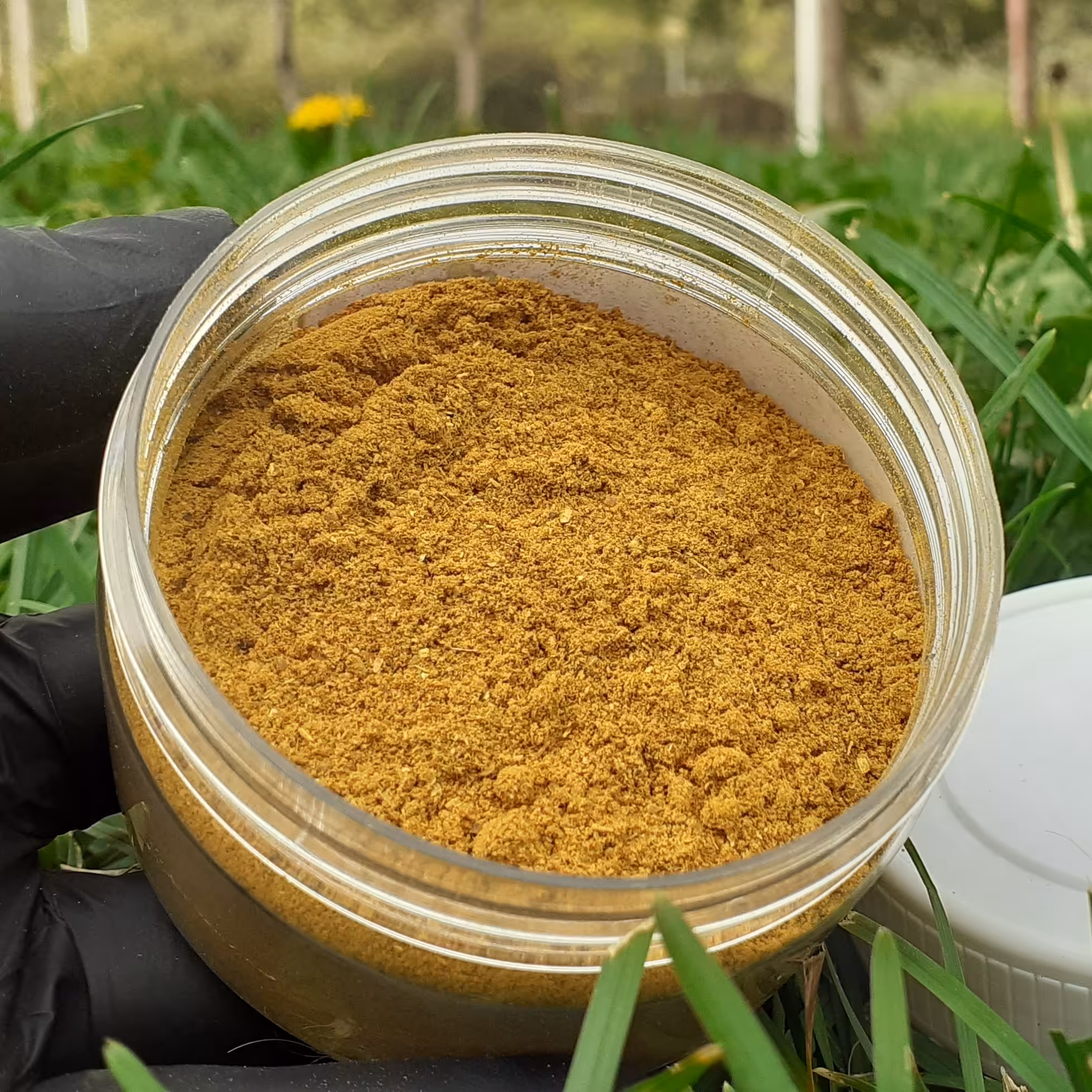 ادویه مرغ و ماهی 250 گرمی 