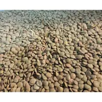 عدس نیم کیلو