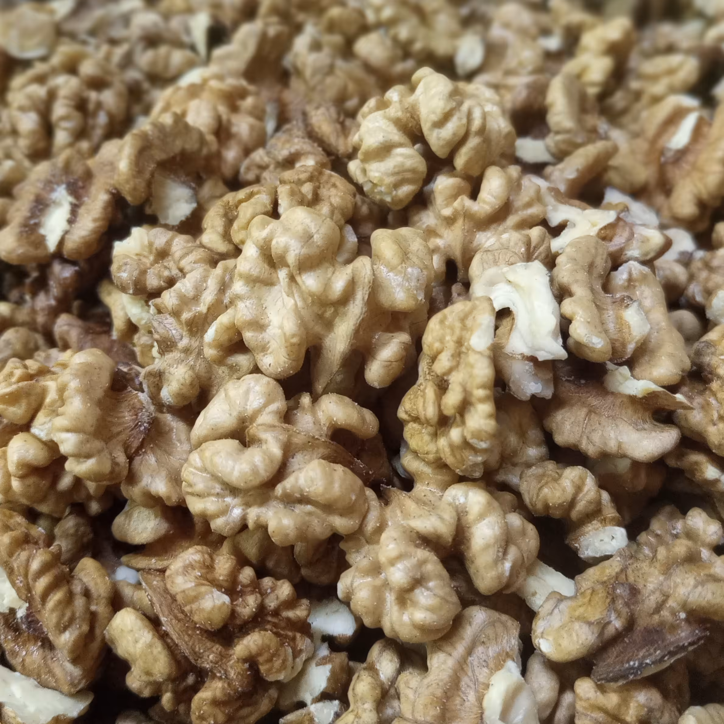 مغز گردو تازه شکن (یک کیلوی)