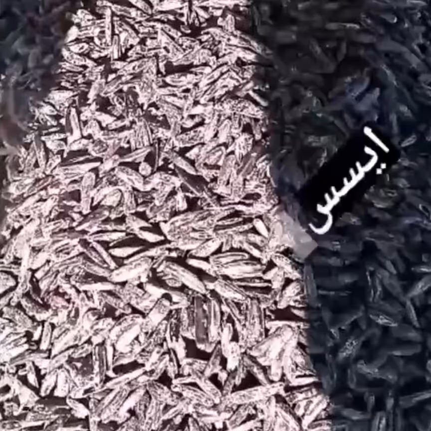 تخمه پزی