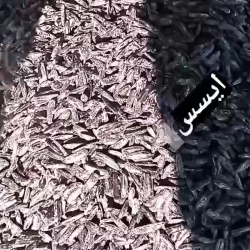 تخمه پزی