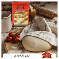خمیرمایه فوری و باباکتری فعال پاکتی 100 گرمی ضامن